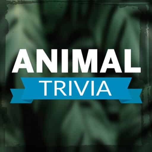 animal trivia