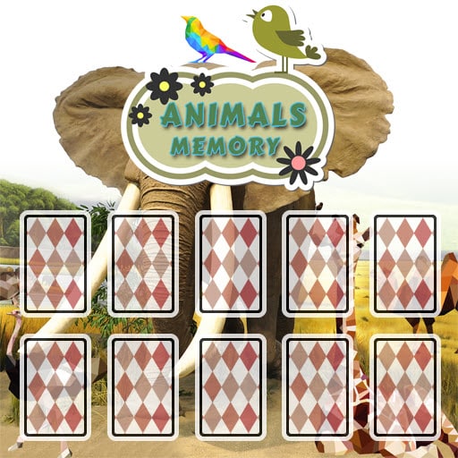 animals cards memory