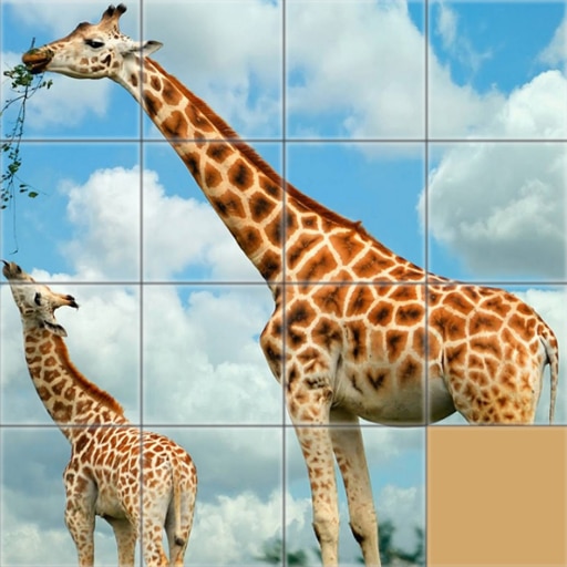 animals slide puzzle