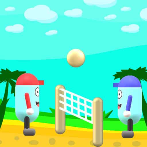 beach volleyball