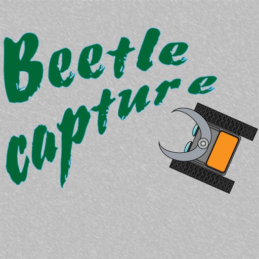 beetle capture