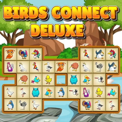 birds connect