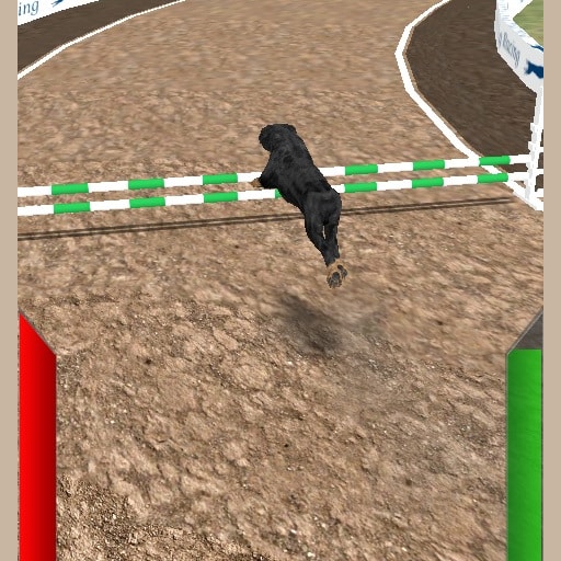 dog racing simulator