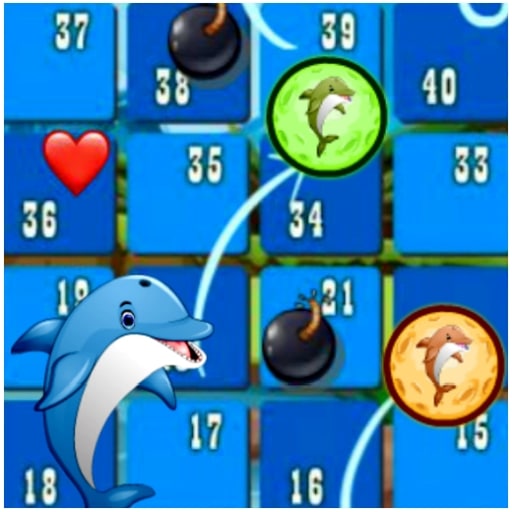 dolphin dice race