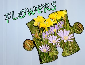 jigsaw puzzle flowers