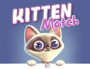 kitten match