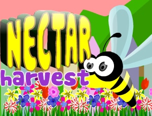 nectar harvest