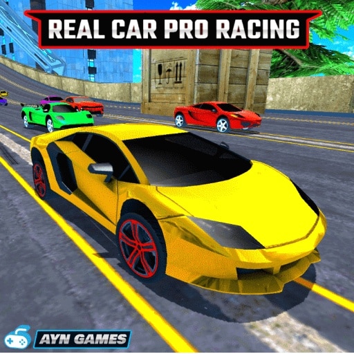 real car pro racing