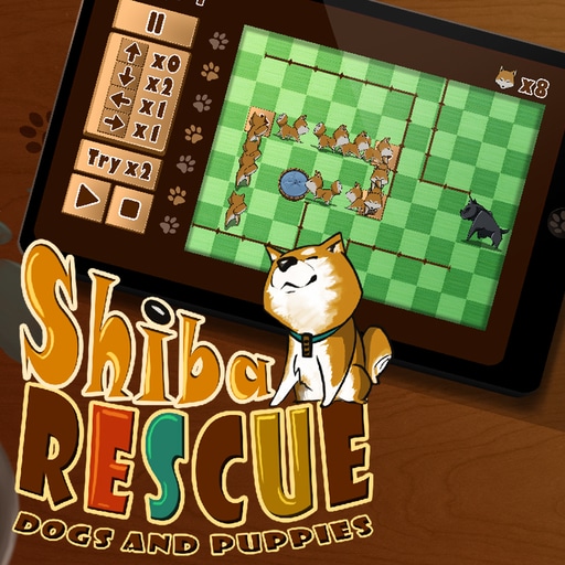 shiba rescue dogs and puppies