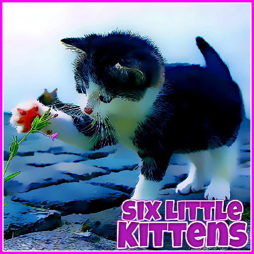 six little kittens