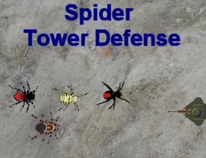 spider td