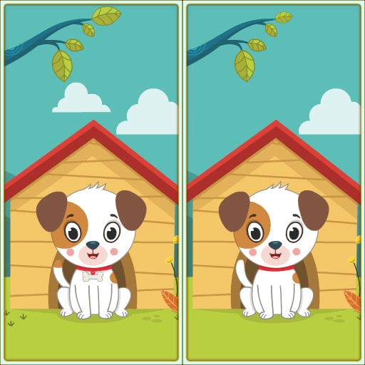 spot 5 differences