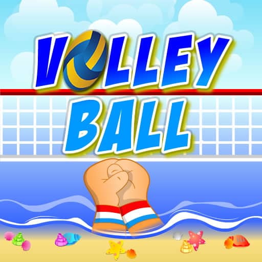 volley ball