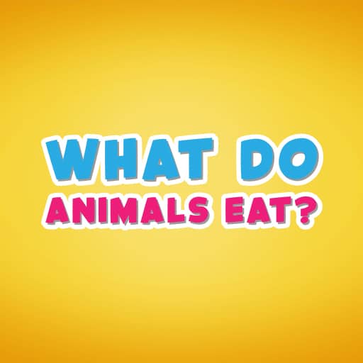 what do animals eat